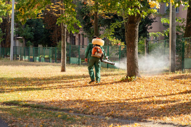 Best Wildlife Control Services  in Pineville, KY